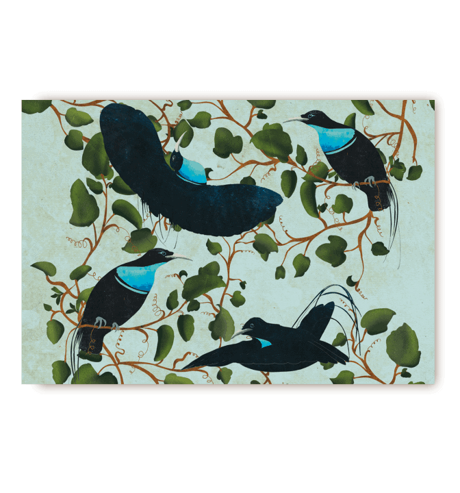 Birds of paradise postcard