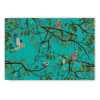 Holler bird turquoise postcard